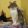 Отзыв от Венера Павловская